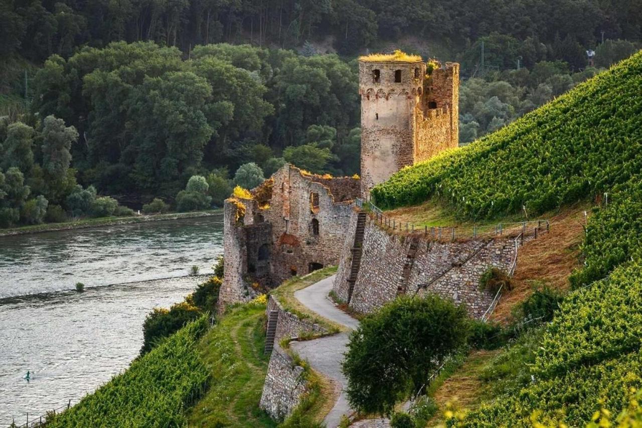 Hotel Trapp Rüdesheim nad Renem Zewnętrze zdjęcie