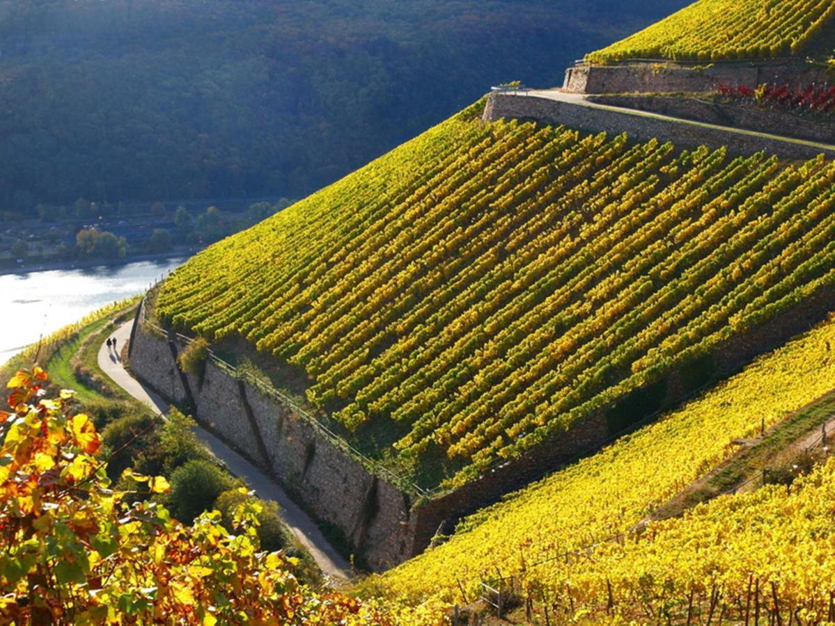 Hotel Trapp Rüdesheim nad Renem Zewnętrze zdjęcie