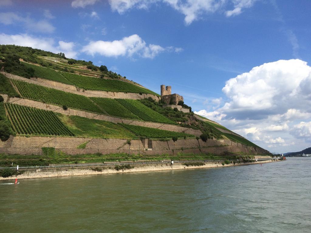 Hotel Trapp Rüdesheim nad Renem Zewnętrze zdjęcie