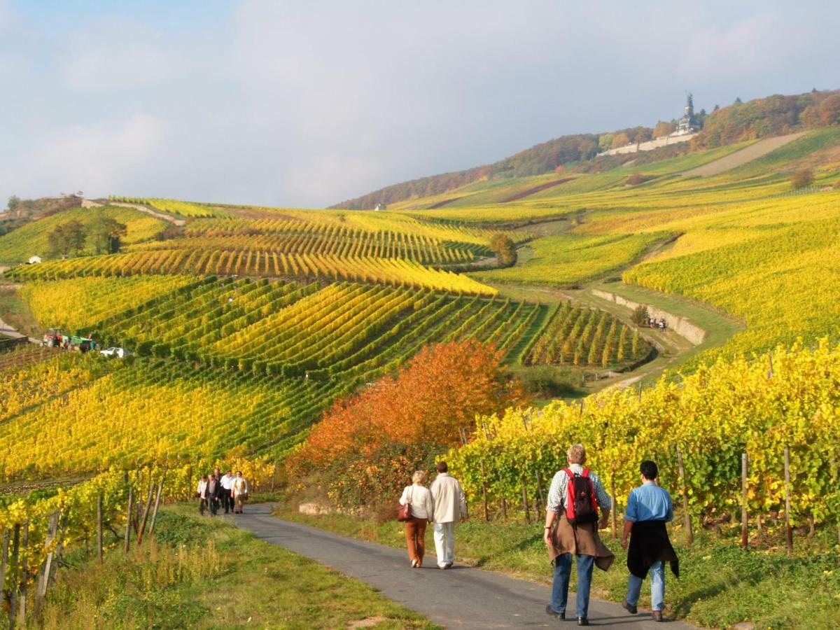 Hotel Trapp Rüdesheim nad Renem Zewnętrze zdjęcie