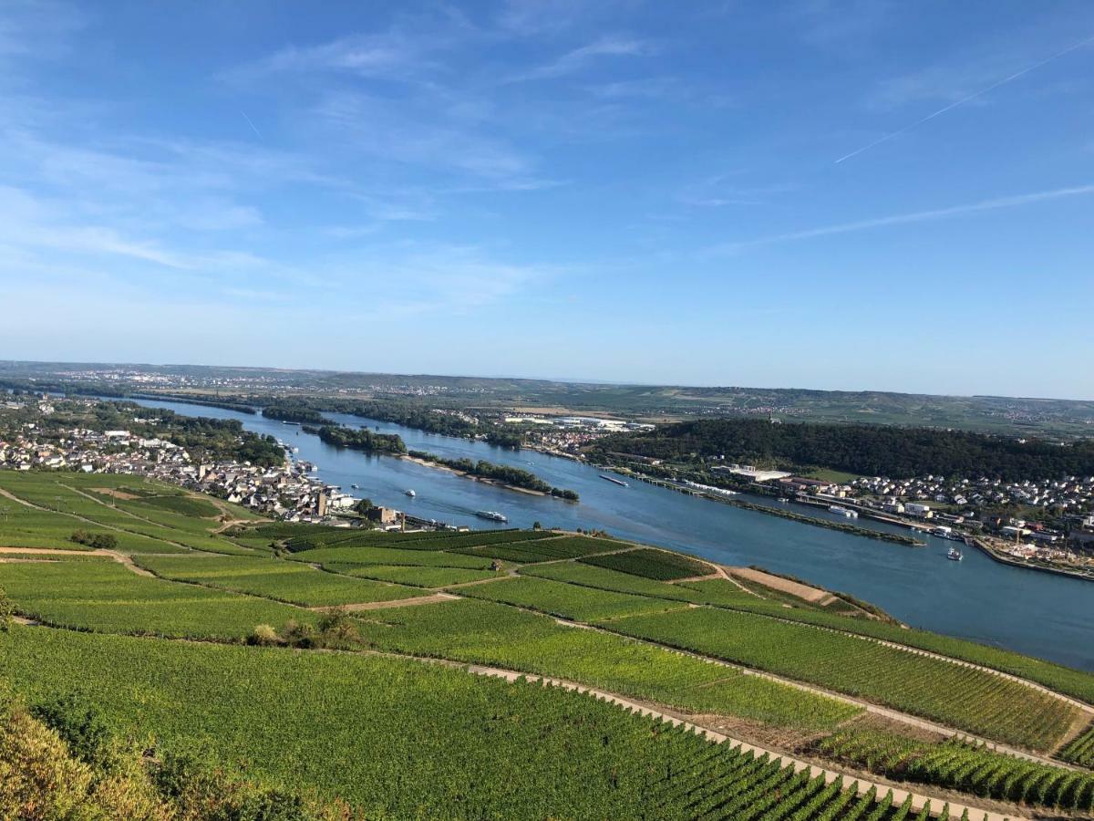 Hotel Trapp Rüdesheim nad Renem Zewnętrze zdjęcie