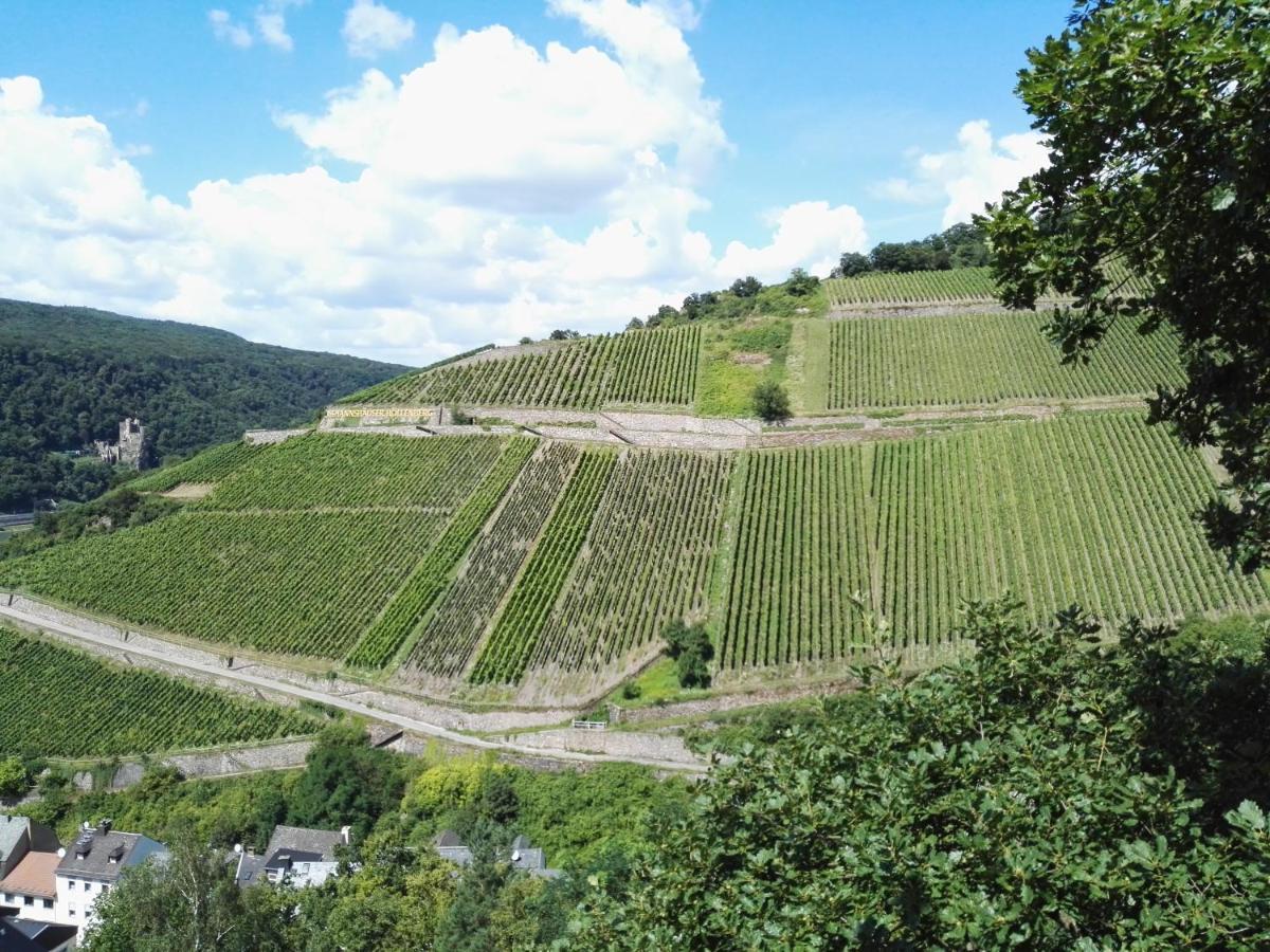 Hotel Trapp Rüdesheim nad Renem Zewnętrze zdjęcie